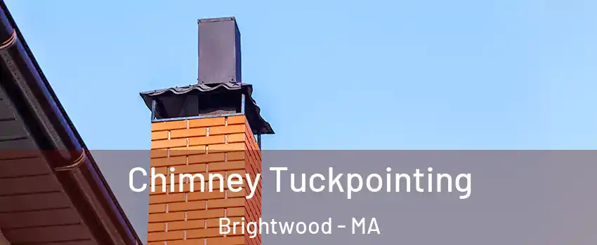 Chimney Tuckpointing Brightwood - MA