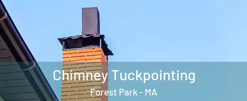Chimney Tuckpointing Forest Park - MA