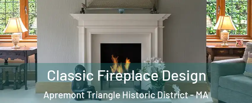 Classic Fireplace Design Apremont Triangle Historic District - MA