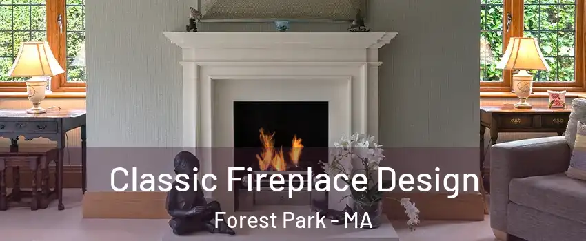 Classic Fireplace Design Forest Park - MA
