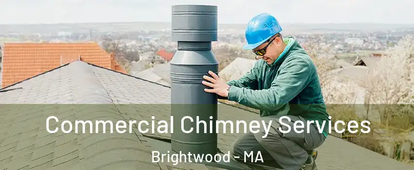 Commercial Chimney Services Brightwood - MA
