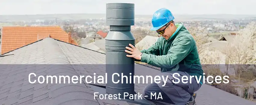 Commercial Chimney Services Forest Park - MA