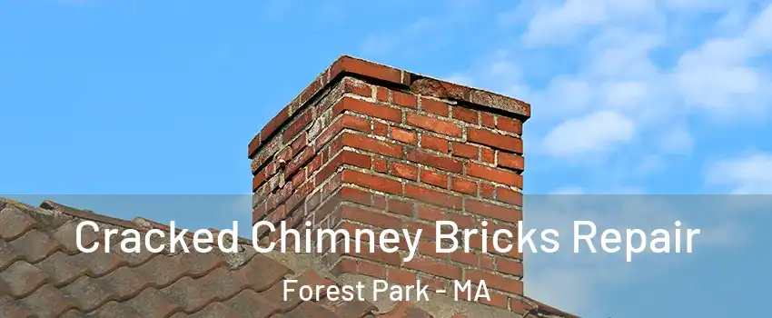 Cracked Chimney Bricks Repair Forest Park - MA