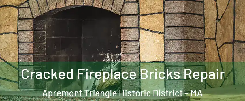 Cracked Fireplace Bricks Repair Apremont Triangle Historic District - MA