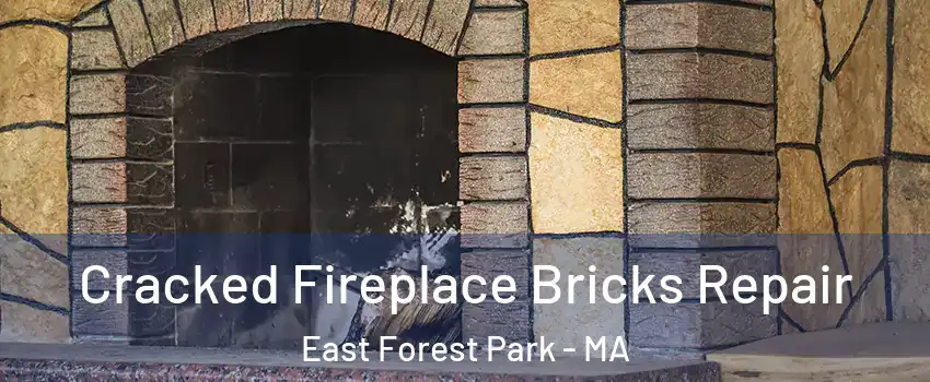 Cracked Fireplace Bricks Repair East Forest Park - MA