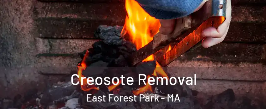 Creosote Removal East Forest Park - MA