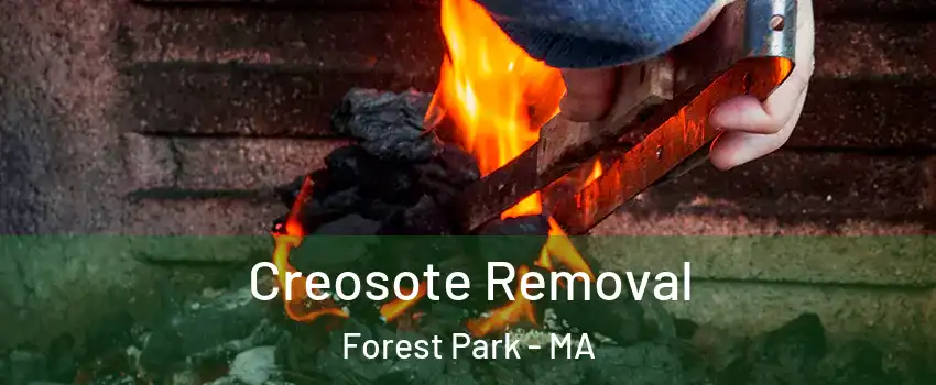Creosote Removal Forest Park - MA