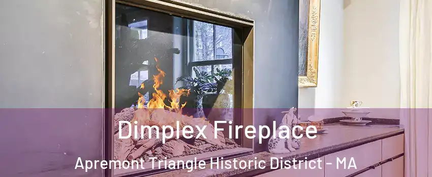 Dimplex Fireplace Apremont Triangle Historic District - MA