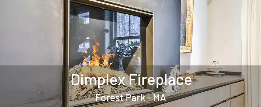 Dimplex Fireplace Forest Park - MA