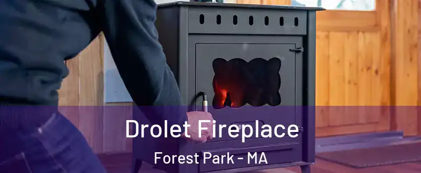 Drolet Fireplace Forest Park - MA