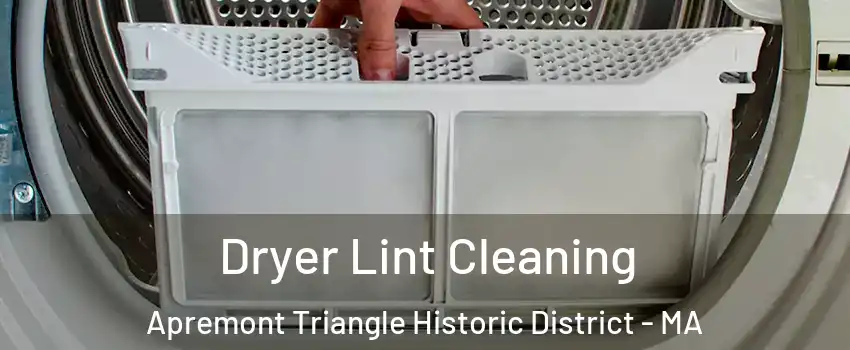 Dryer Lint Cleaning Apremont Triangle Historic District - MA
