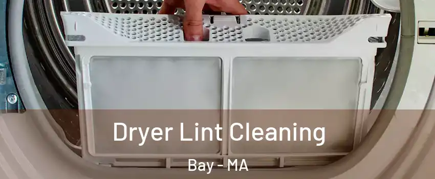 Dryer Lint Cleaning Bay - MA