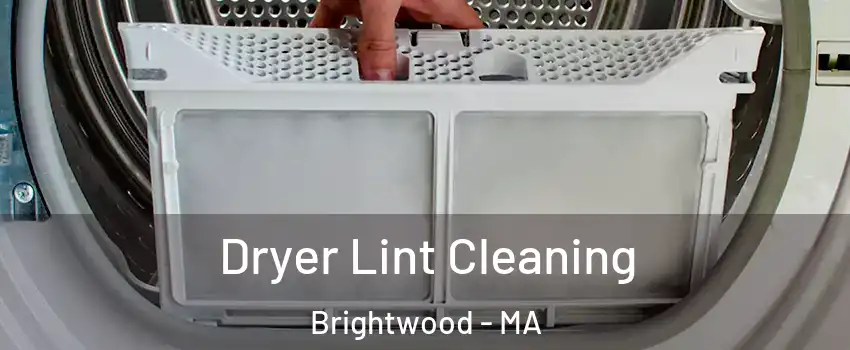 Dryer Lint Cleaning Brightwood - MA