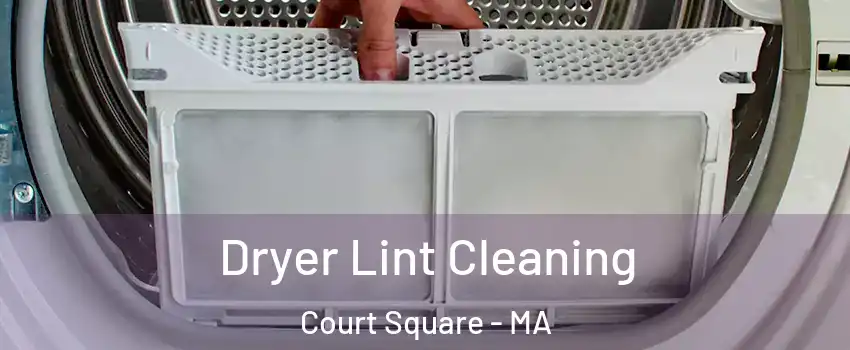 Dryer Lint Cleaning Court Square - MA