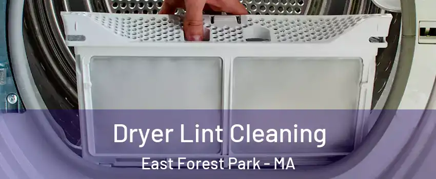 Dryer Lint Cleaning East Forest Park - MA