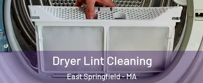 Dryer Lint Cleaning East Springfield - MA