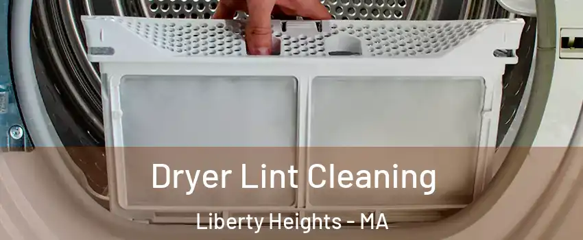 Dryer Lint Cleaning Liberty Heights - MA