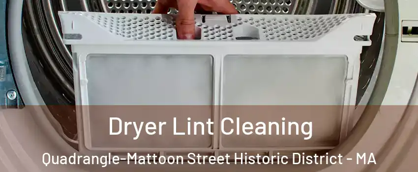 Dryer Lint Cleaning Quadrangle-Mattoon Street Historic District - MA