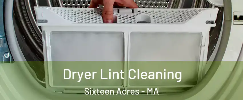 Dryer Lint Cleaning Sixteen Acres - MA