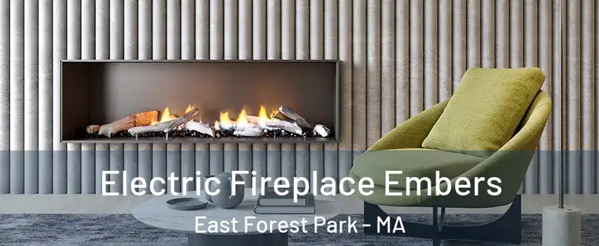 Electric Fireplace Embers East Forest Park - MA