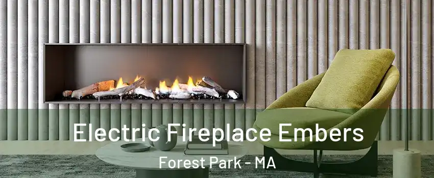 Electric Fireplace Embers Forest Park - MA