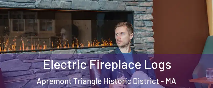 Electric Fireplace Logs Apremont Triangle Historic District - MA