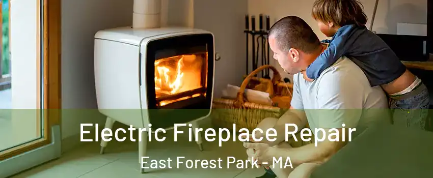 Electric Fireplace Repair East Forest Park - MA
