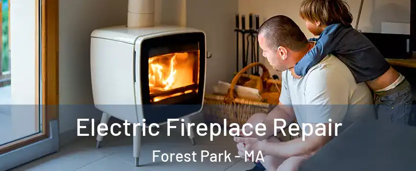 Electric Fireplace Repair Forest Park - MA