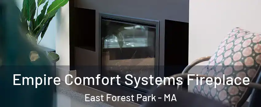 Empire Comfort Systems Fireplace East Forest Park - MA