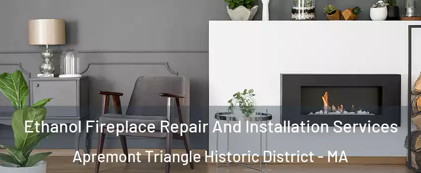 Ethanol Fireplace Repair And Installation Services Apremont Triangle Historic District - MA
