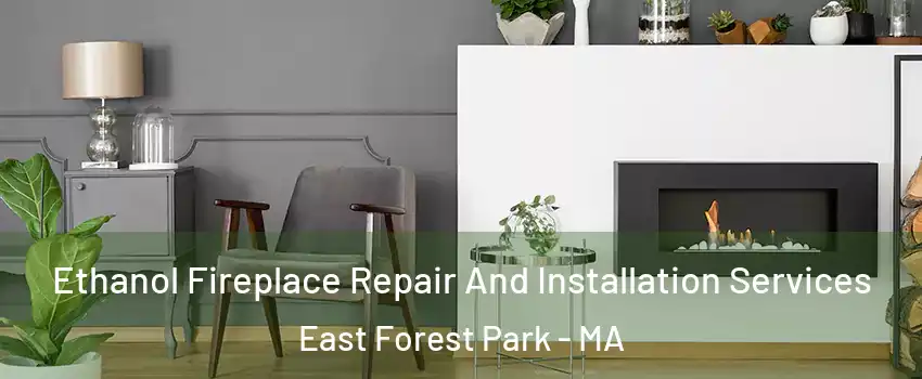 Ethanol Fireplace Repair And Installation Services East Forest Park - MA