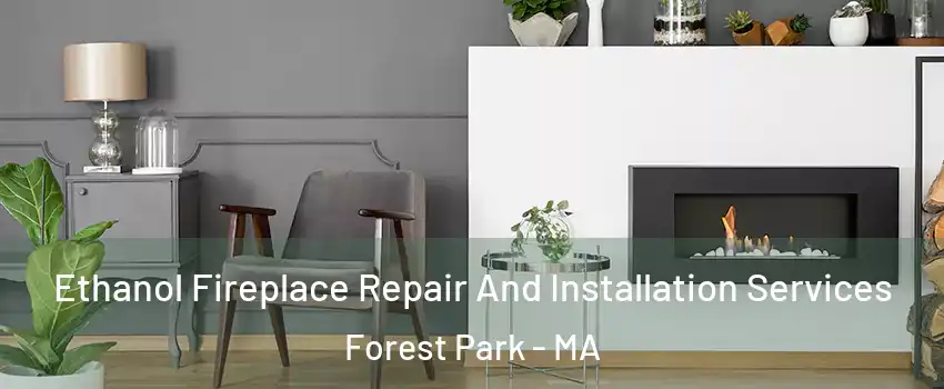 Ethanol Fireplace Repair And Installation Services Forest Park - MA