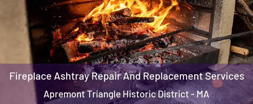Fireplace Ashtray Repair And Replacement Services Apremont Triangle Historic District - MA