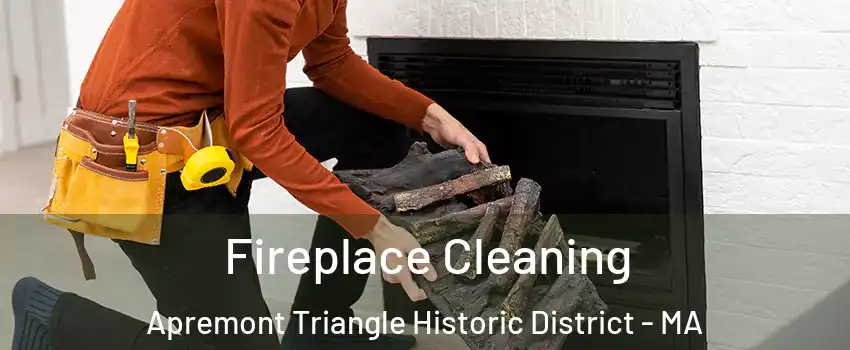 Fireplace Cleaning Apremont Triangle Historic District - MA