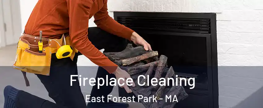 Fireplace Cleaning East Forest Park - MA