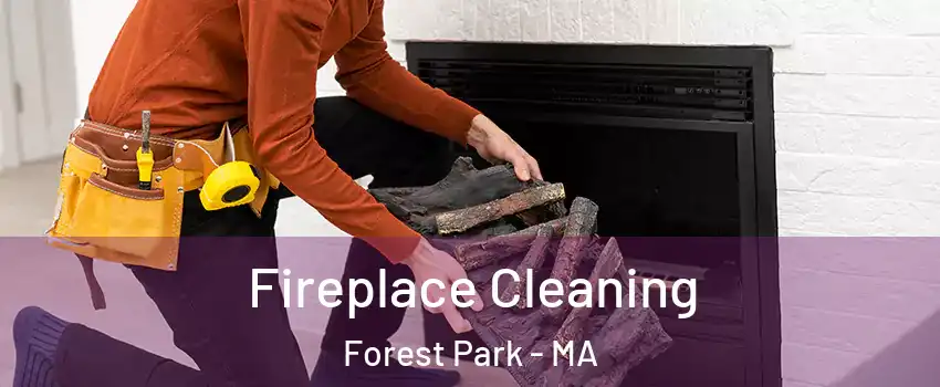 Fireplace Cleaning Forest Park - MA