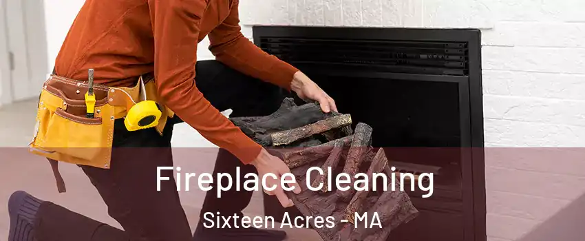 Fireplace Cleaning Sixteen Acres - MA