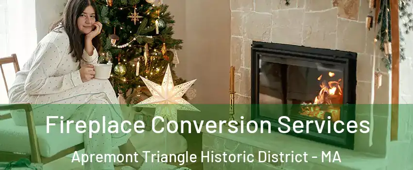 Fireplace Conversion Services Apremont Triangle Historic District - MA