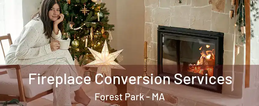 Fireplace Conversion Services Forest Park - MA
