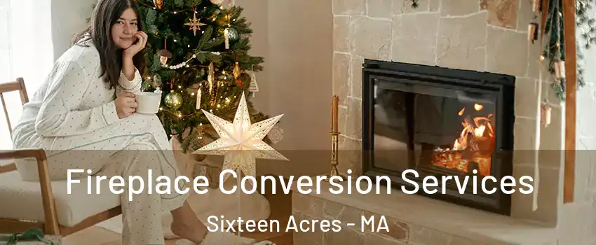 Fireplace Conversion Services Sixteen Acres - MA