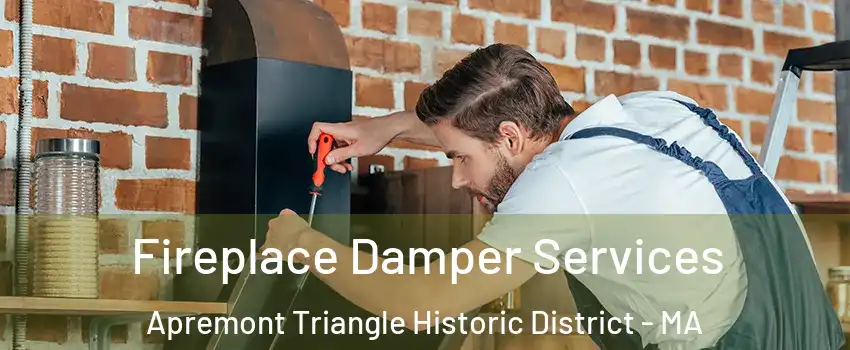 Fireplace Damper Services Apremont Triangle Historic District - MA
