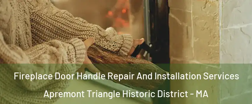 Fireplace Door Handle Repair And Installation Services Apremont Triangle Historic District - MA