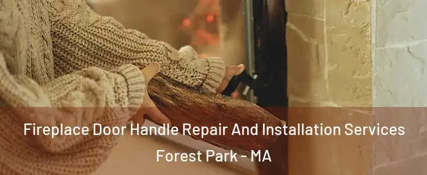 Fireplace Door Handle Repair And Installation Services Forest Park - MA