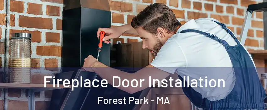 Fireplace Door Installation Forest Park - MA