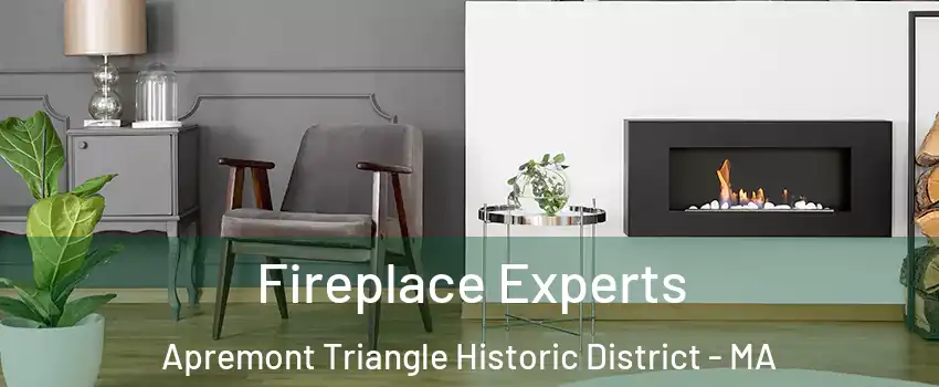 Fireplace Experts Apremont Triangle Historic District - MA