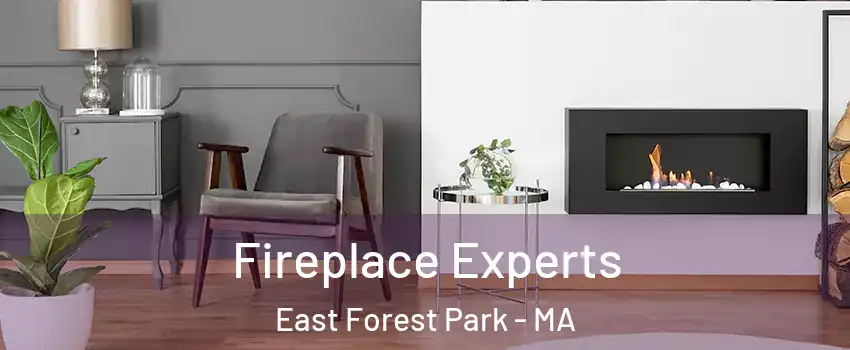 Fireplace Experts East Forest Park - MA