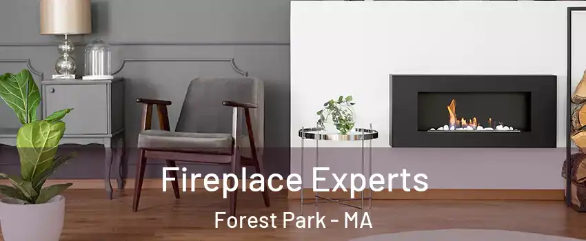 Fireplace Experts Forest Park - MA