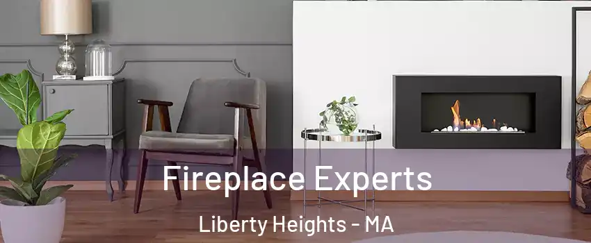 Fireplace Experts Liberty Heights - MA