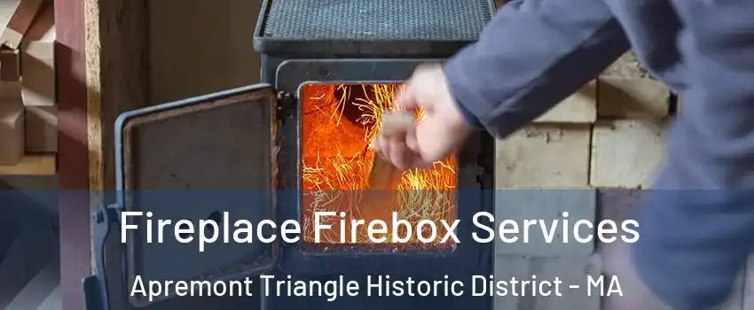 Fireplace Firebox Services Apremont Triangle Historic District - MA