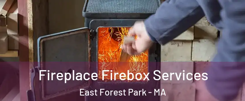Fireplace Firebox Services East Forest Park - MA